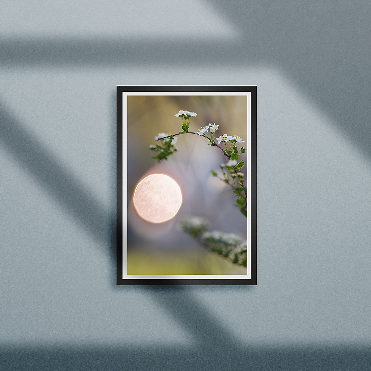 Close-up of a twig branch with flowering blooms against a backdrop of a white and yellow sun with purple and yellow hues in the sky, framed in a modern black frame with white mounting on a light grey wall with shadows of window light falling on the frame/wall.