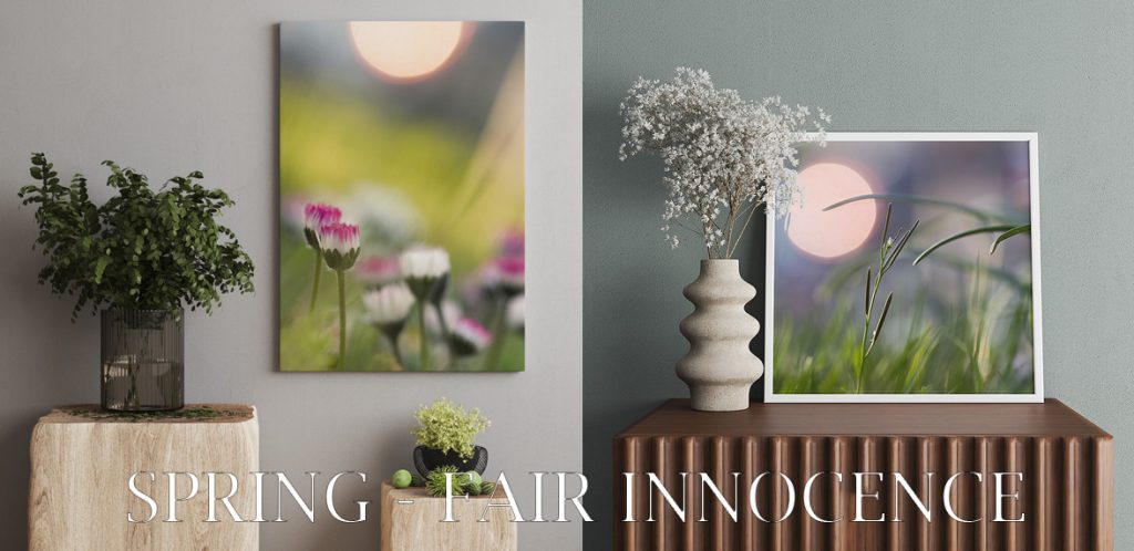 Banner image featuring two living room settings with wall art. On the left, a canvas displaying 'Whispered Sweetness,' featuring daisy flowers. On the right, a square framed image with a white frame showcasing 'Twilight Breeze,' featuring grass and a setting sun.